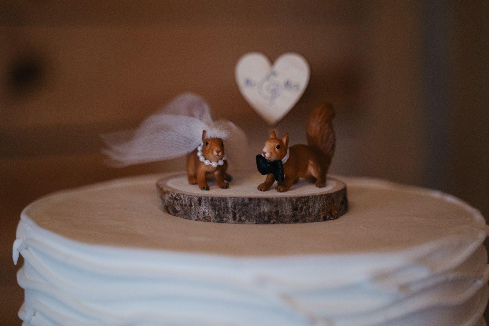 Amanda DeLay Simpson & Joshua Simpson's wedding 26