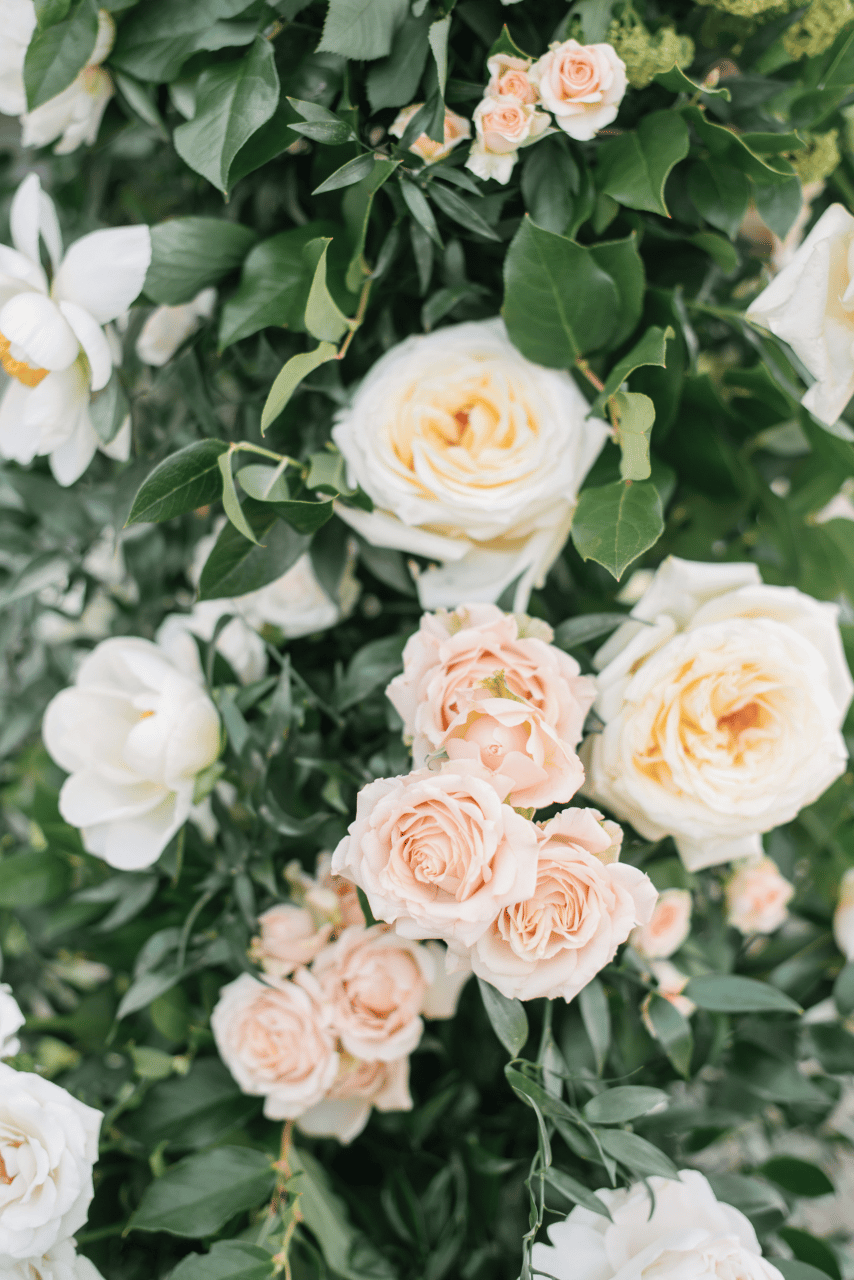 Alexandra Cross & Giovanni Luna's wedding-image-42