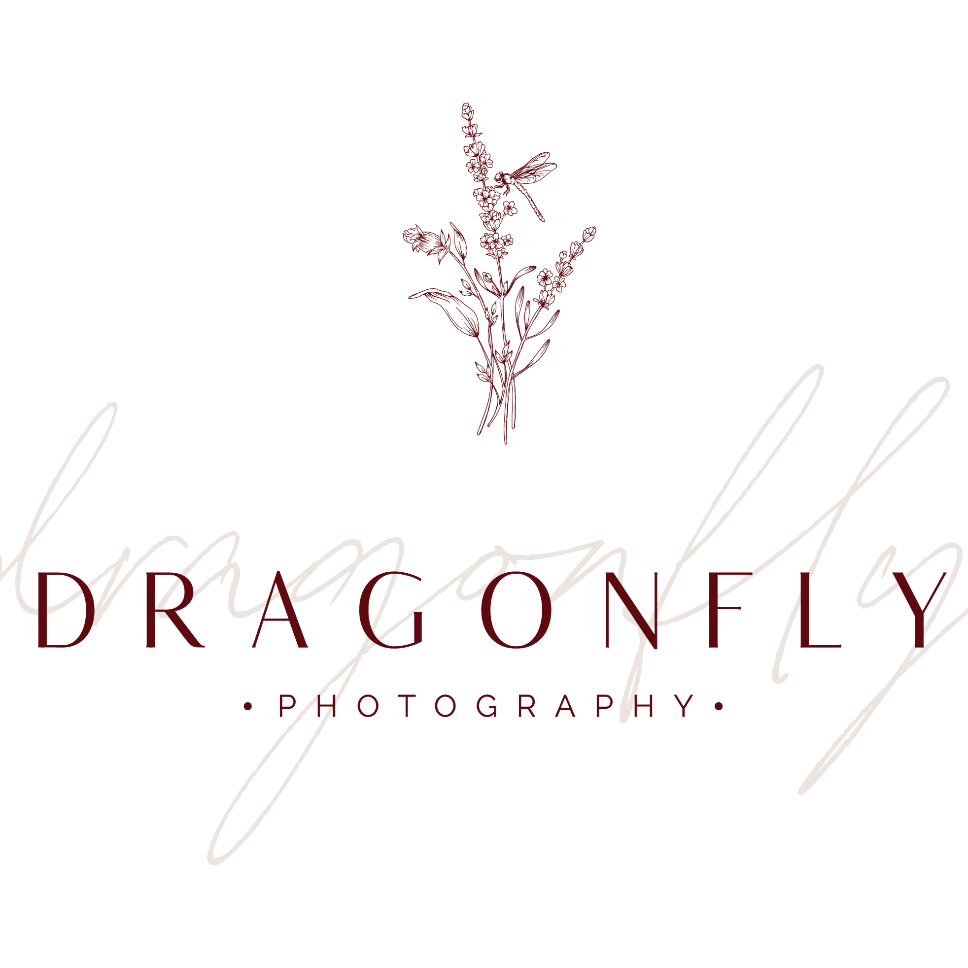 Dragonfly Photography