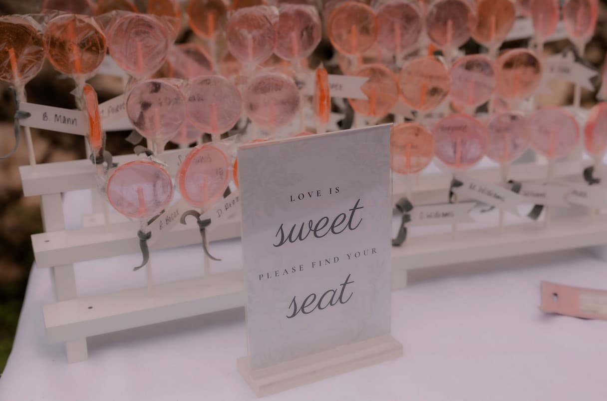 Shaelynn Fisher & Brian Filippone's wedding 47