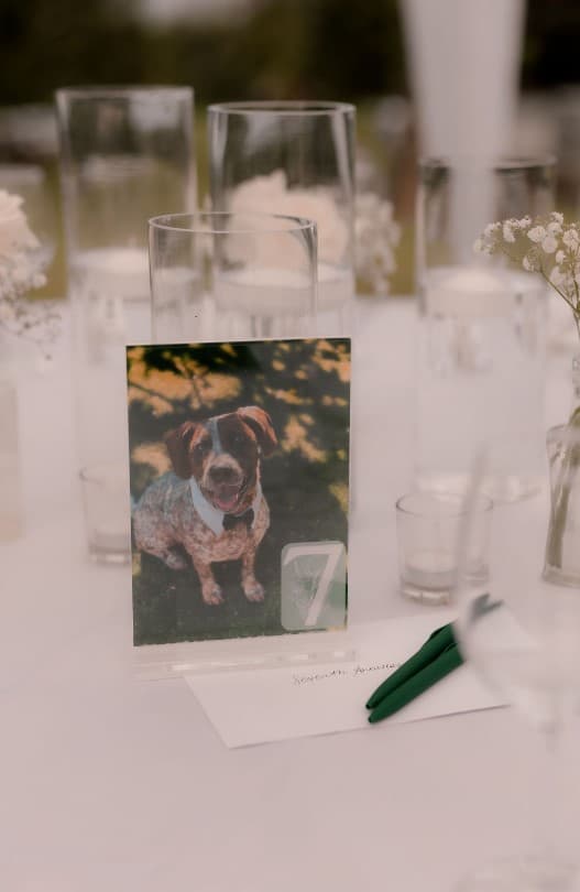 Shaelynn Fisher & Brian Filippone's wedding 26