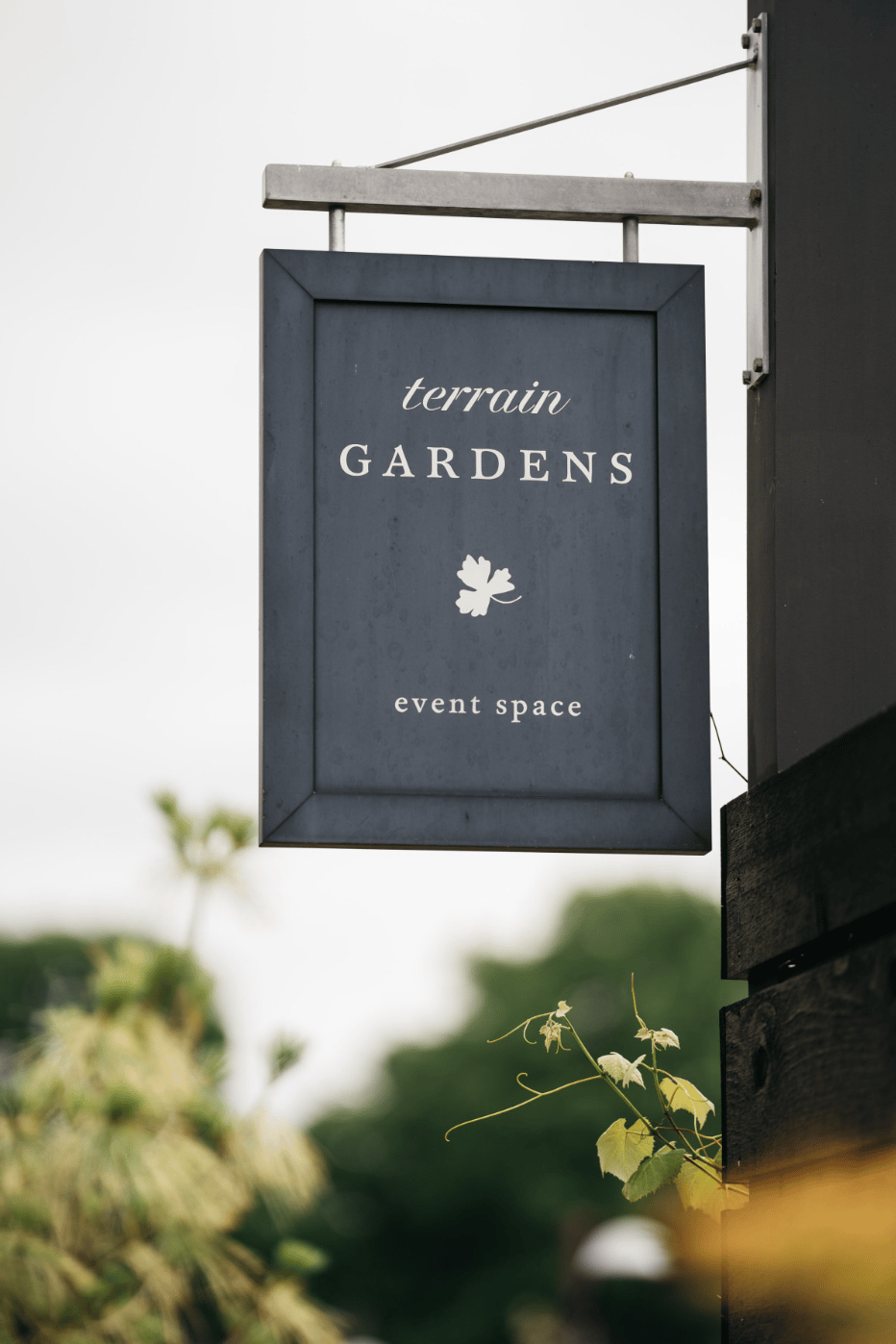Terrain Gardens - Devon portfolio 3