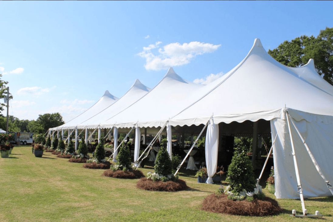 Macon Tent Rentals portfolio 1