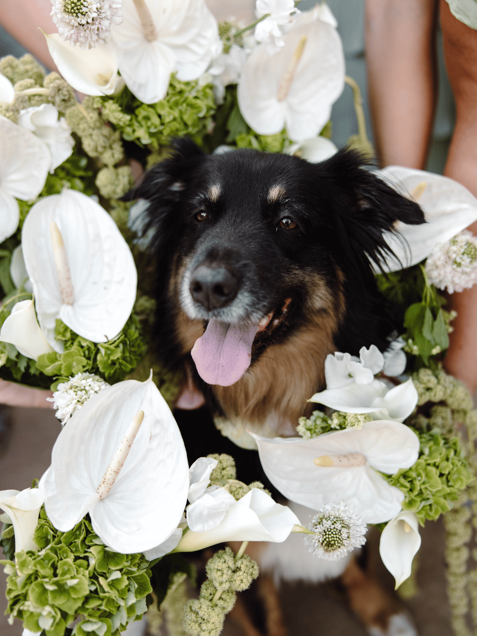 Terah Bryson & Jacob Medrano's wedding-image-28