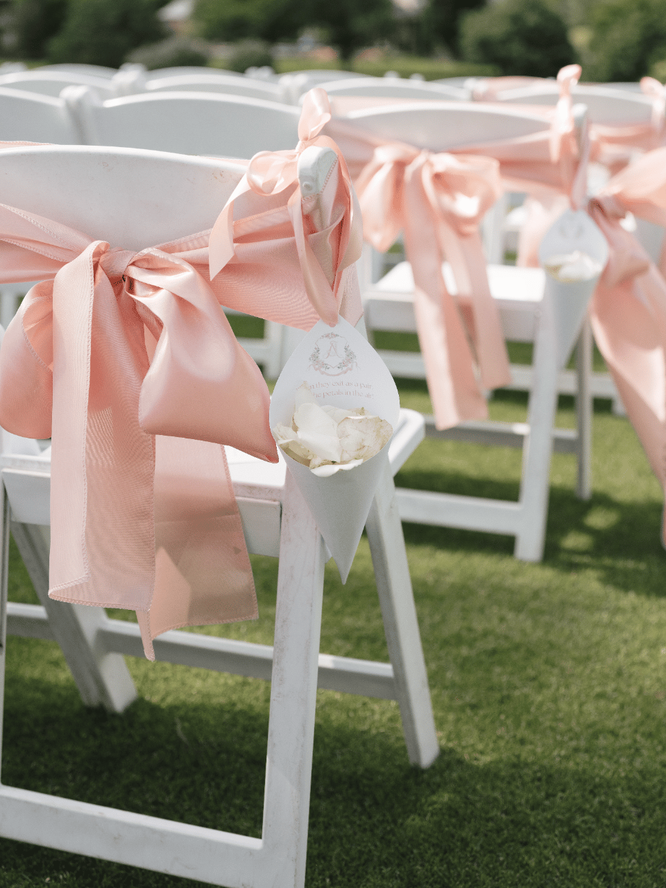 Adilene Vinyard & Joshua Winters's wedding-image-16