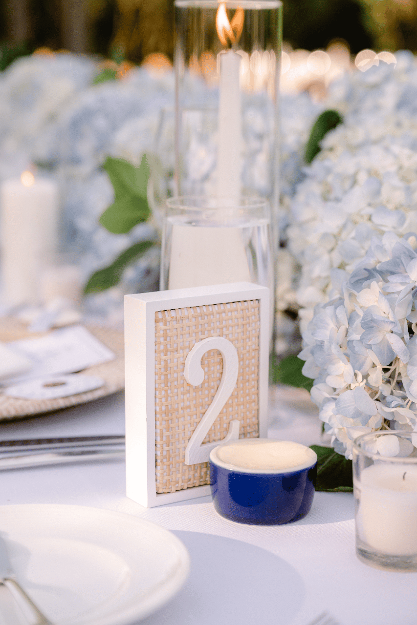 Alexa Kouvaris & Benjamin Rappaport's wedding-image-58