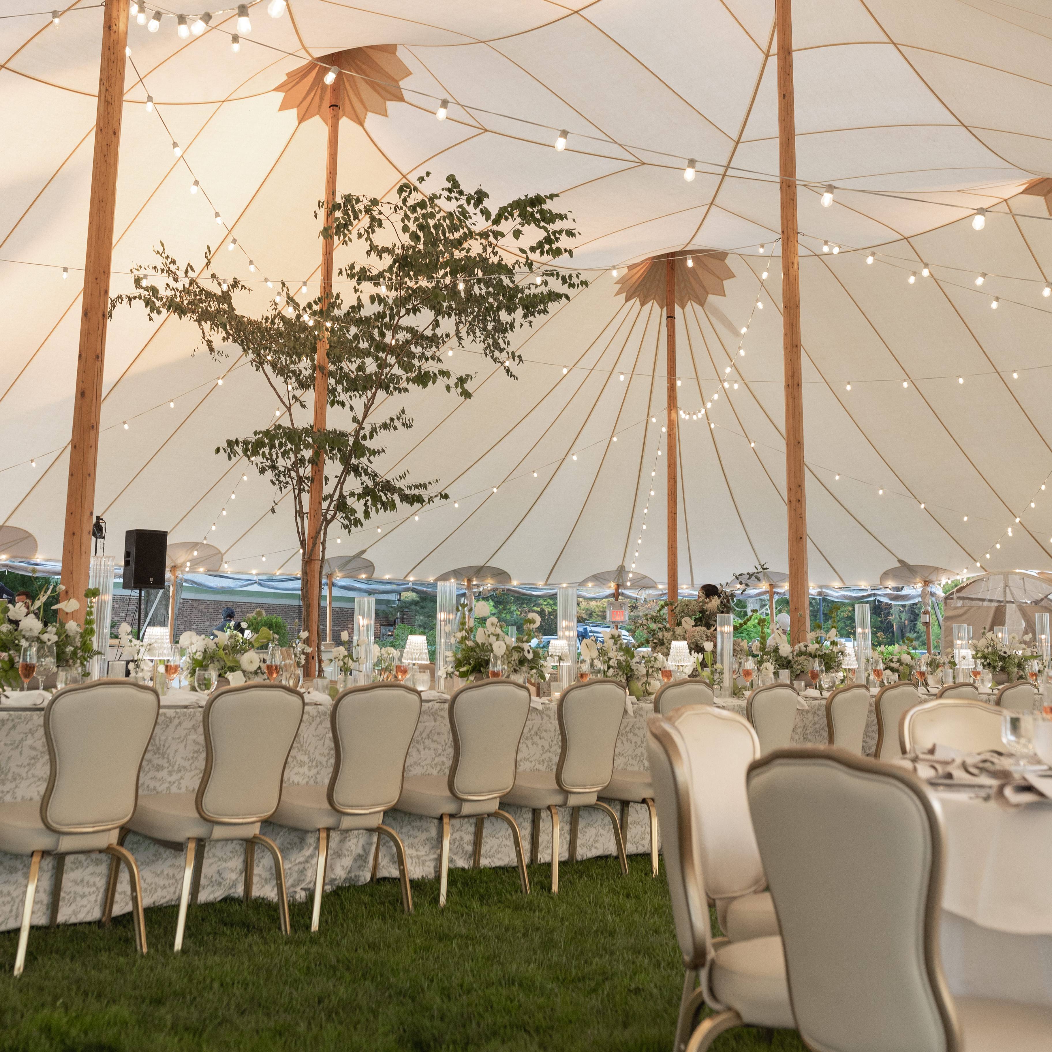 Fondly Frieda Events