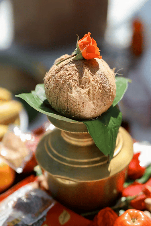 Vaishnavi Sridharan & Parth Patel's wedding 12