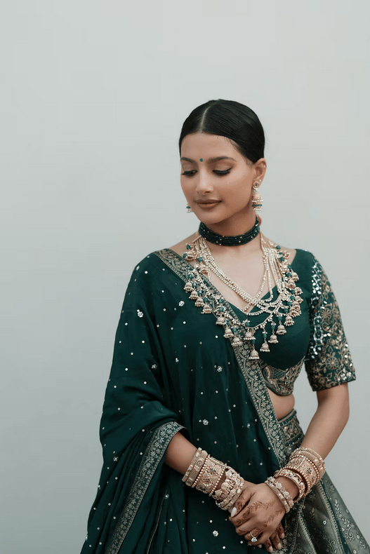 Vaishnavi Sridharan & Parth Patel's wedding 2