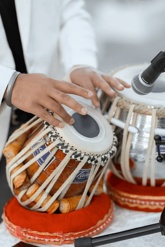 Vaishnavi Sridharan & Parth Patel's wedding 8