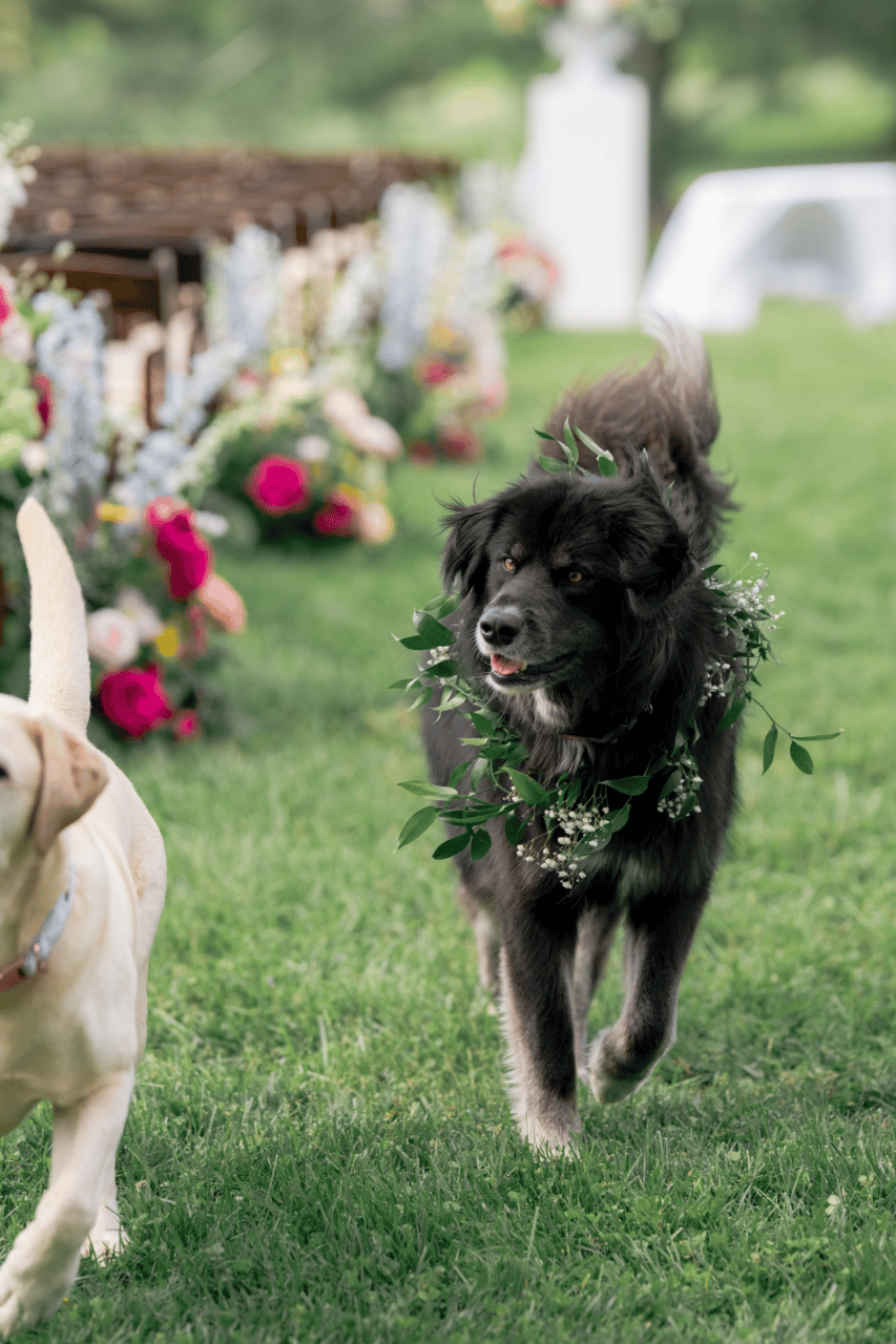 Eliza Montague & Bryan Agee's wedding-image-14