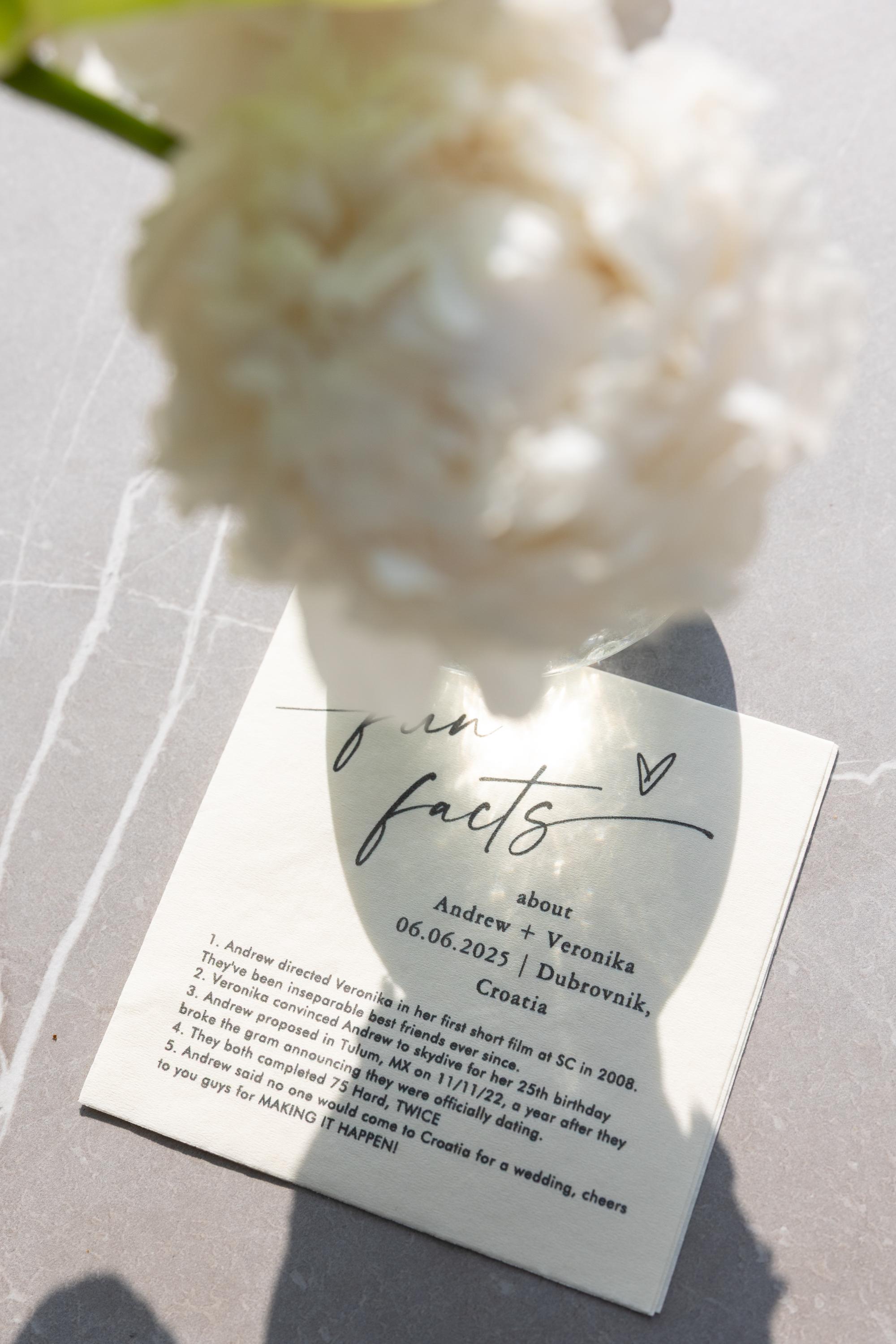 Veronika Dash and Andrew Sandler's Wedding 66