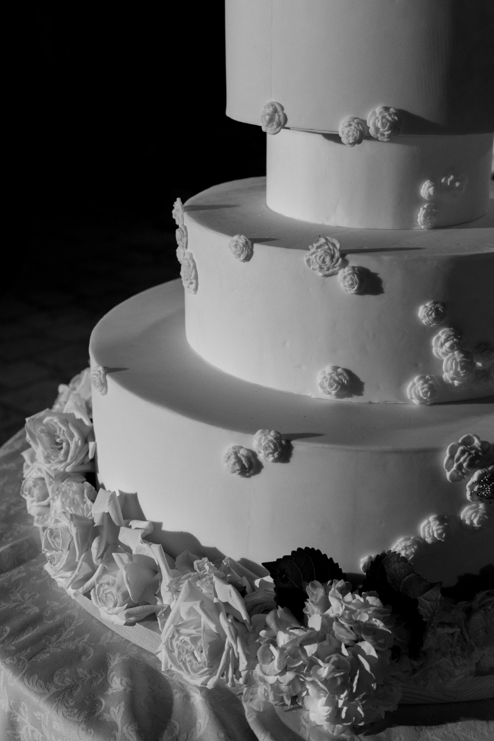 Veronika Dash and Andrew Sandler's Wedding 48