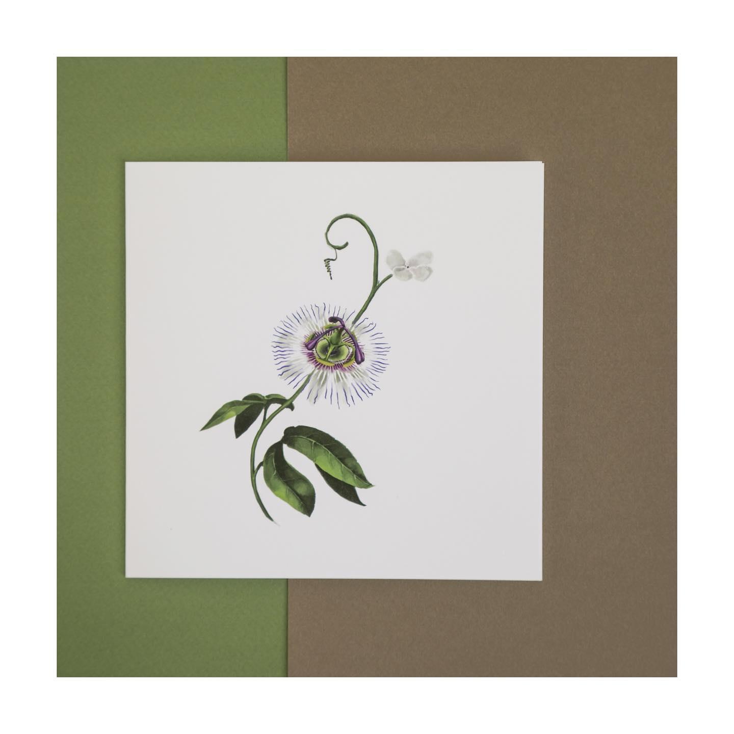 Floral Alchemy portfolio 4