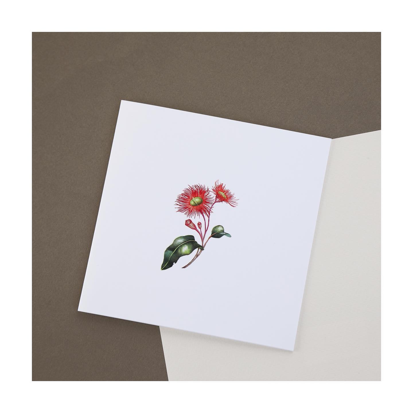 Floral Alchemy portfolio 2