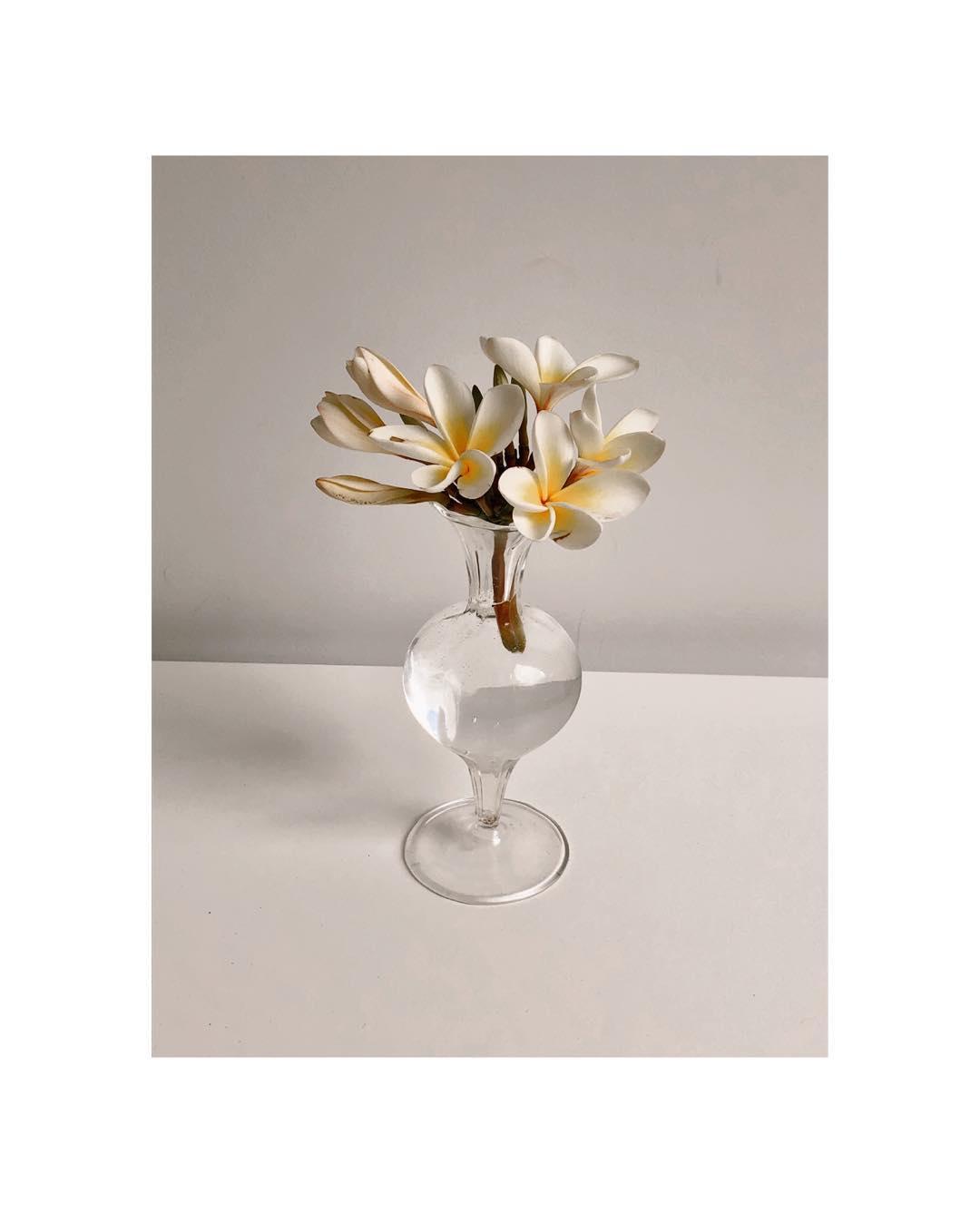 Floral Alchemy