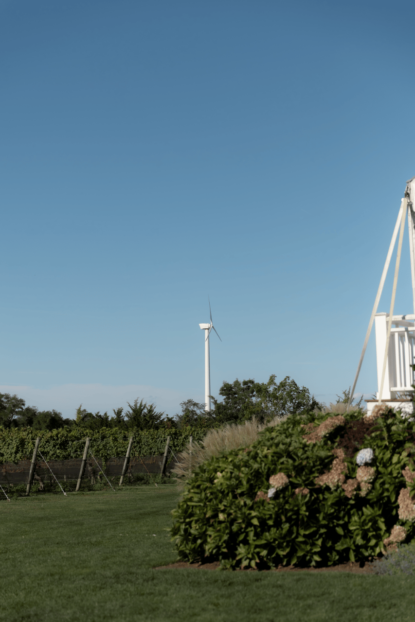 Hope Joyce & Thomas Van Wazer's wedding-image-17