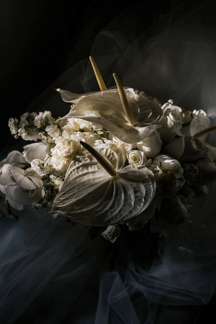 Ellen Hales & Sahachel Flores's wedding-image-21