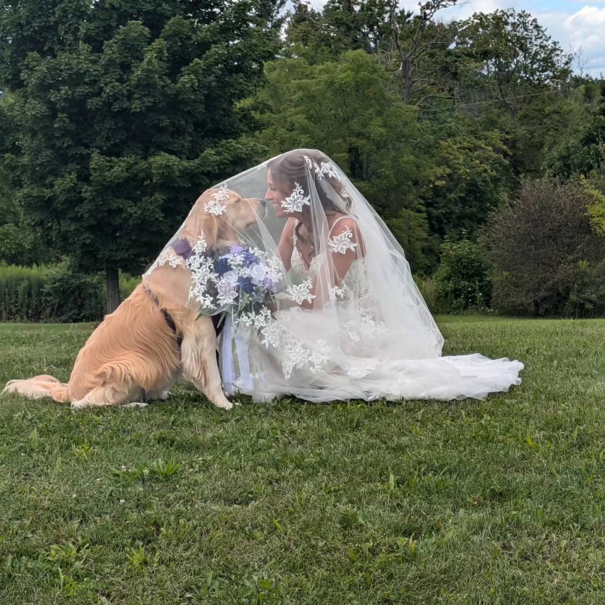 Black Dog Weddings portfolio 4