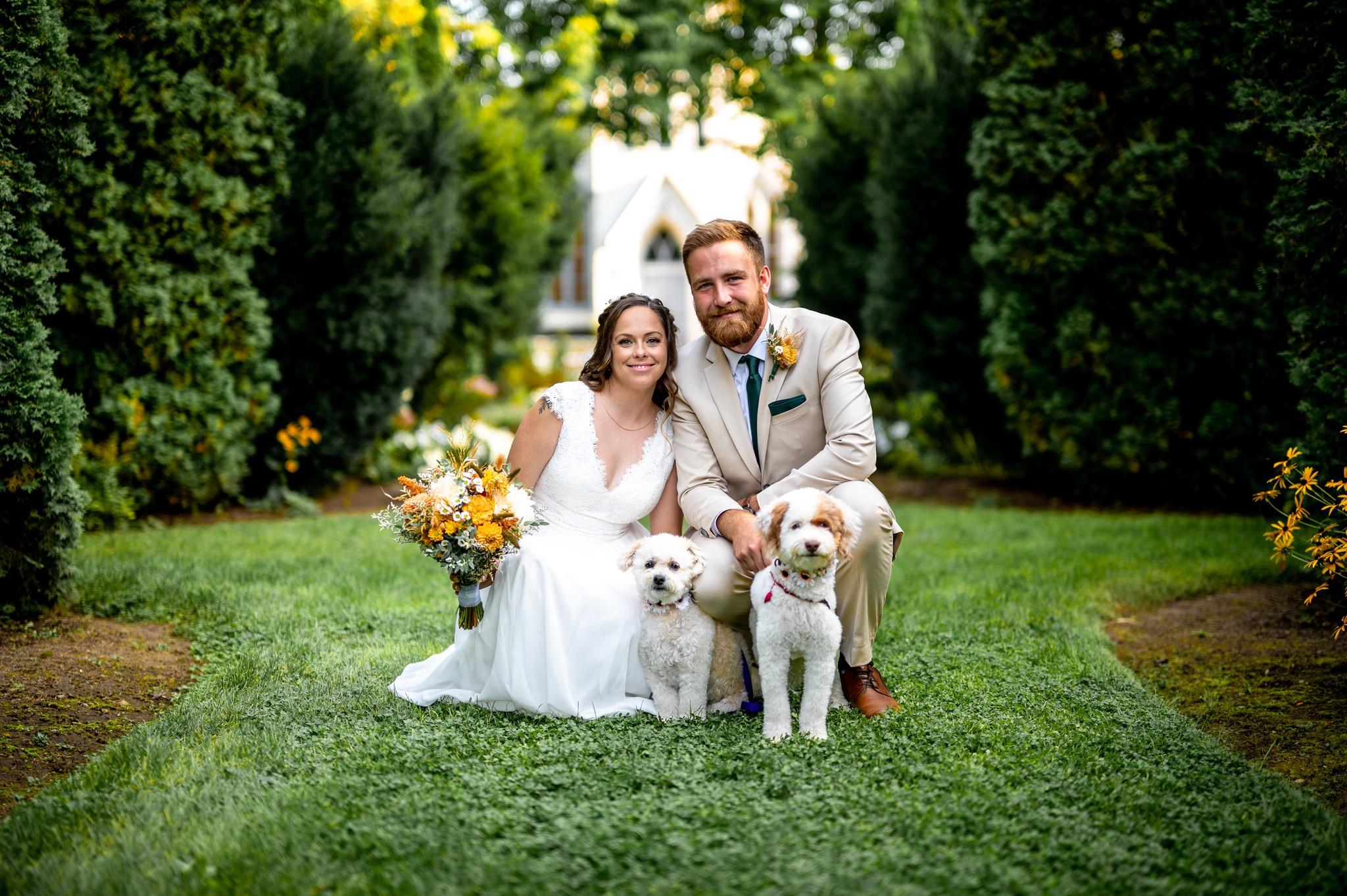 Black Dog Weddings portfolio 3