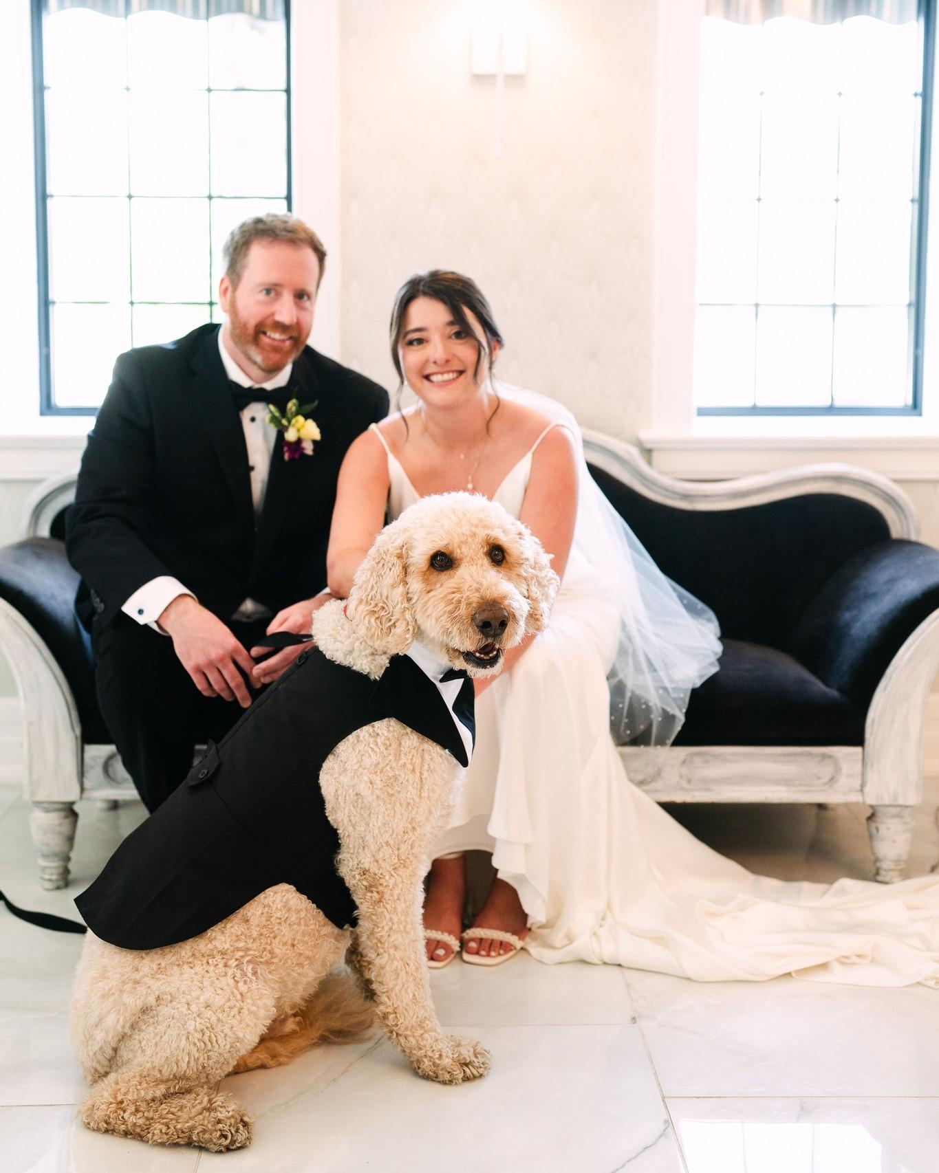 Black Dog Weddings portfolio 2