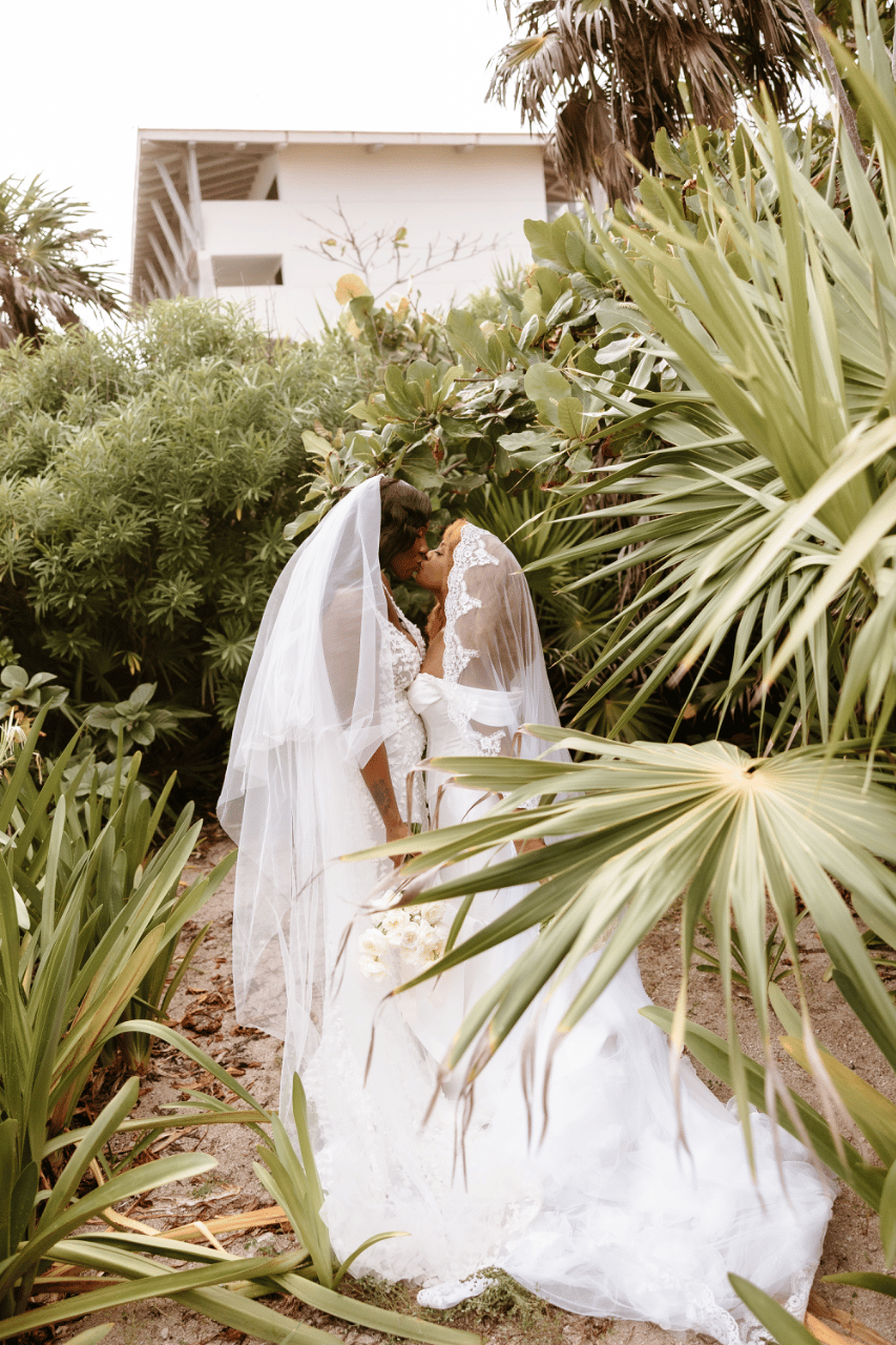 portraits in the tropics