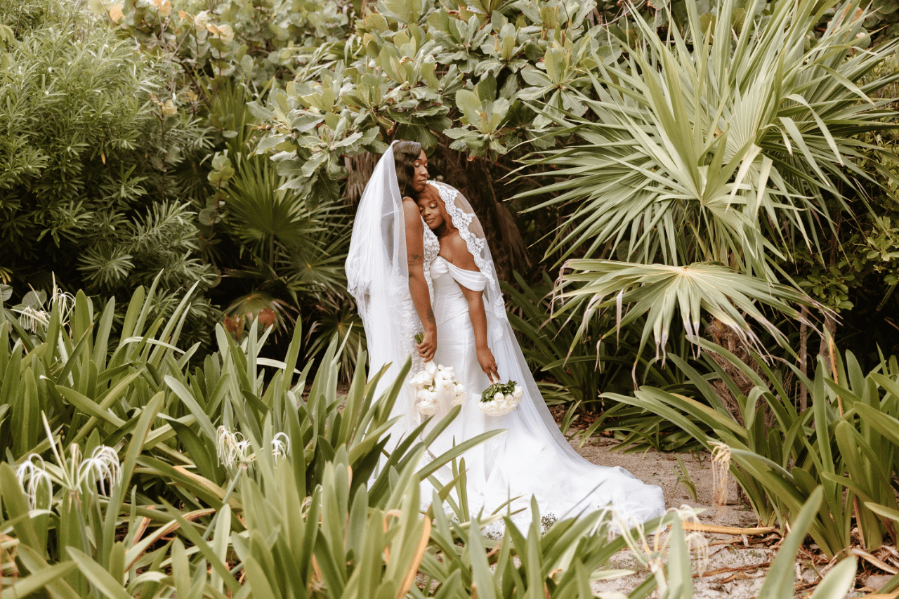 portraits in the tropics
