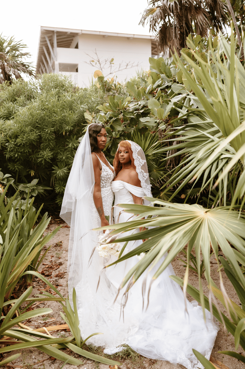portraits in the tropics