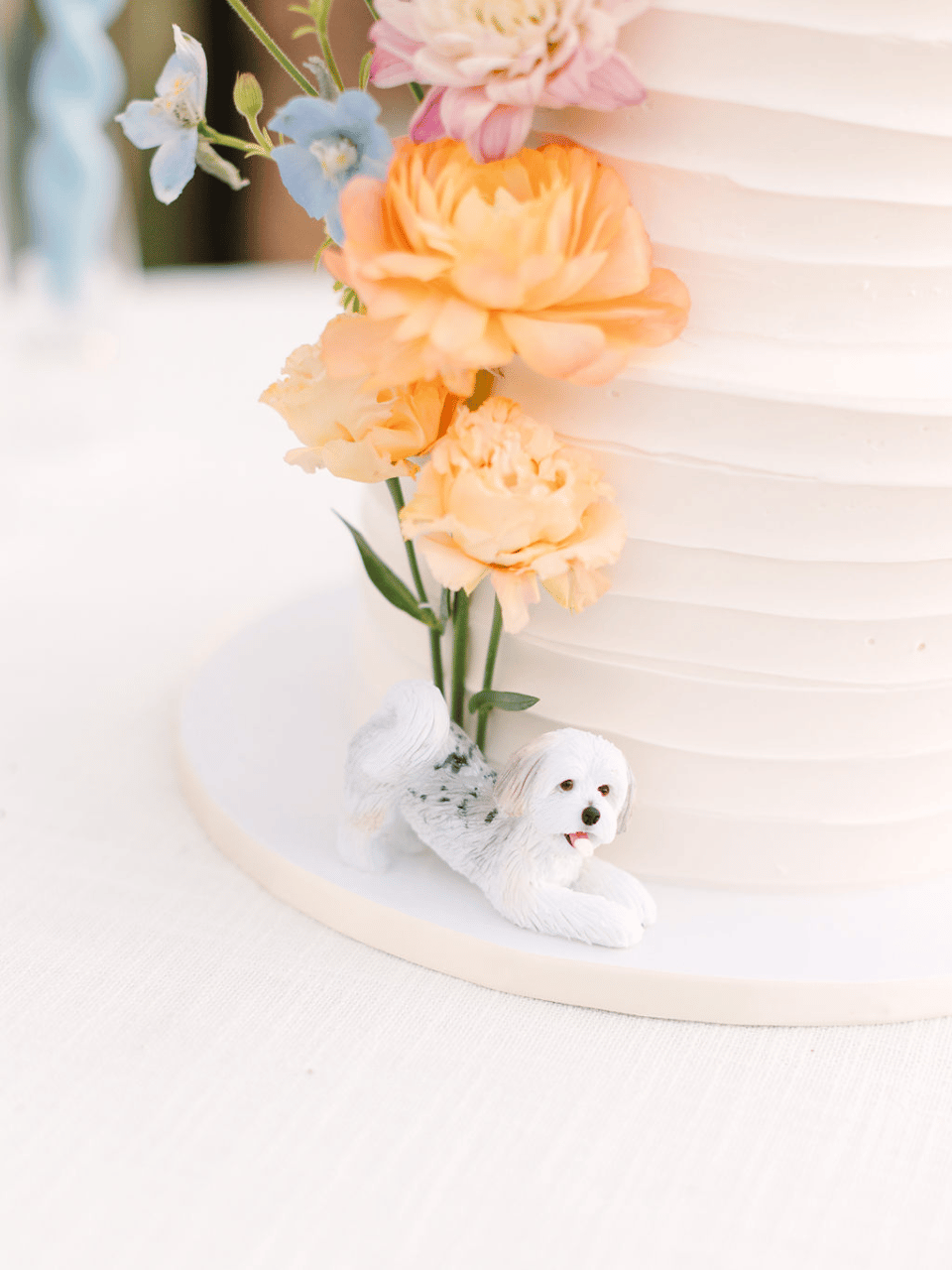 Caiti Lew & Dane Rana's wedding-image-32