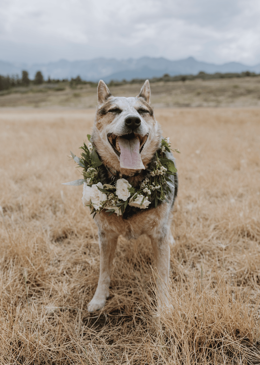 Madelyn Trummer & Alex De Guzam's wedding-image-34