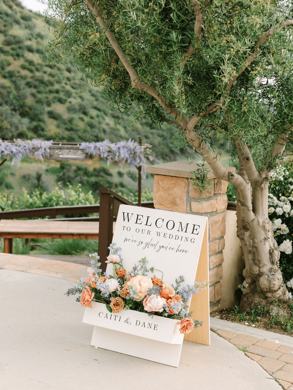 Caiti Lew & Dane Rana's wedding-image-33