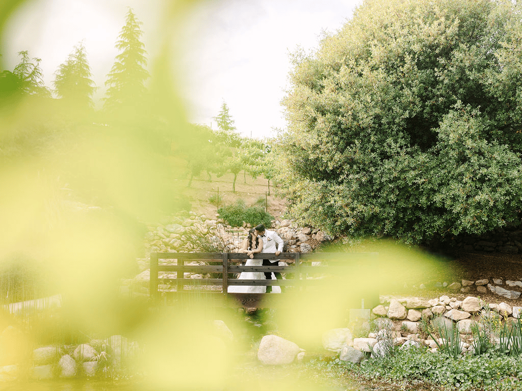 Caiti Lew & Dane Rana's wedding-image-22