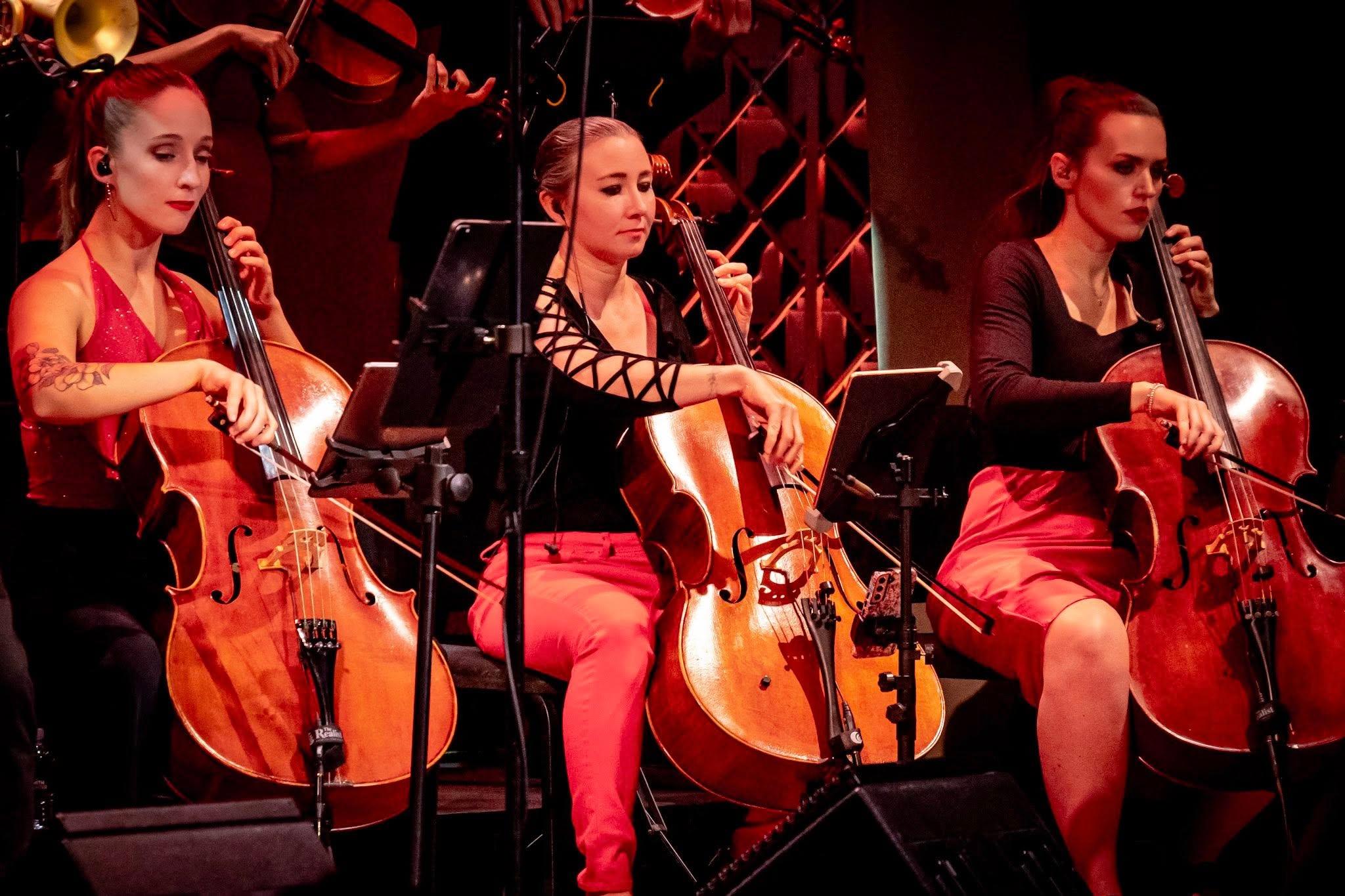 David Perrico Pop Strings Orchestra portfolio 5