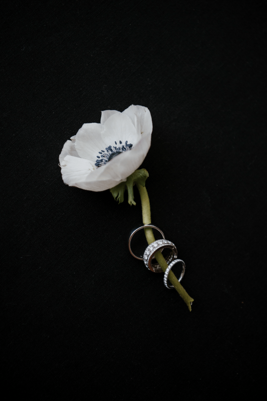 Timeless Moments, Endless Romance in Tysons photo 3