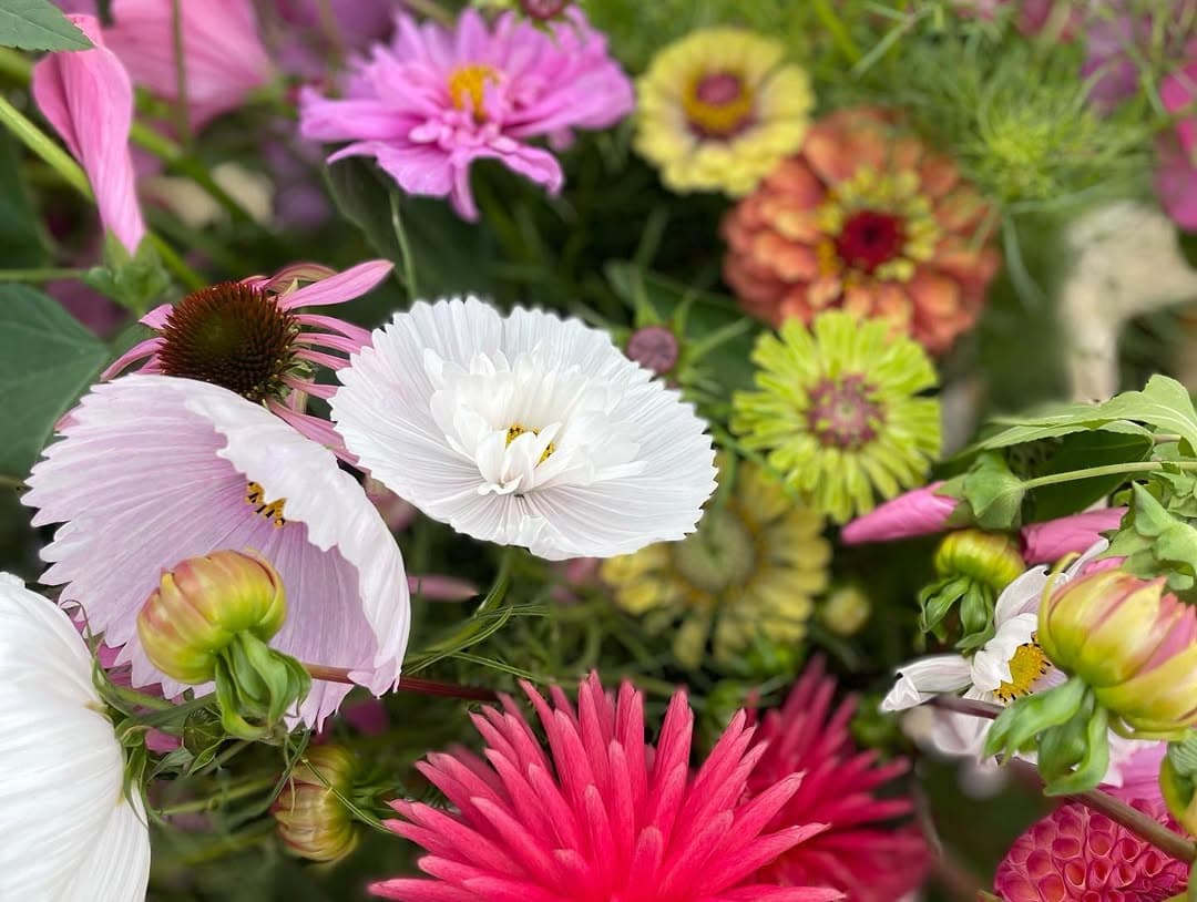 Anna Brown Flowers portfolio 1