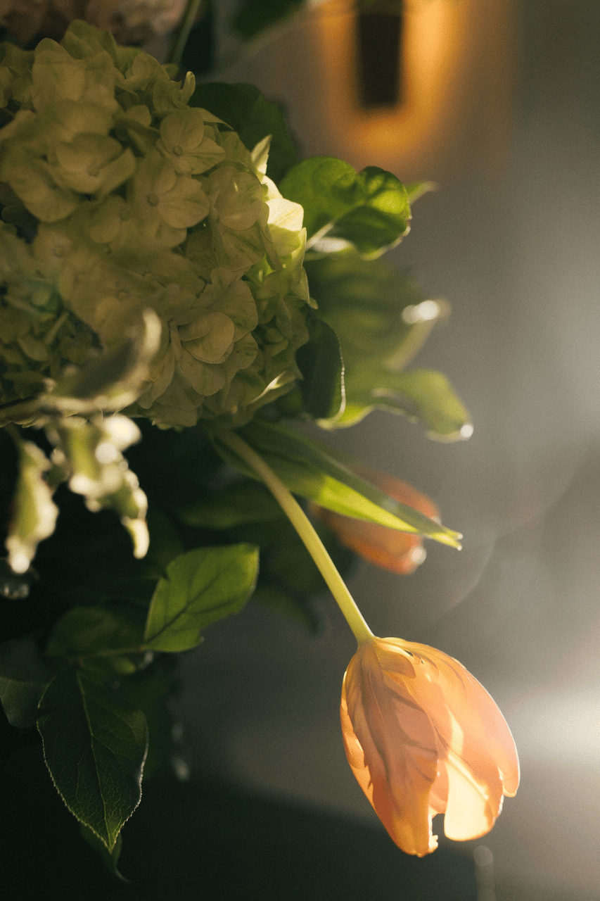 Regan Arnold & Chandler Hull's wedding-image-10