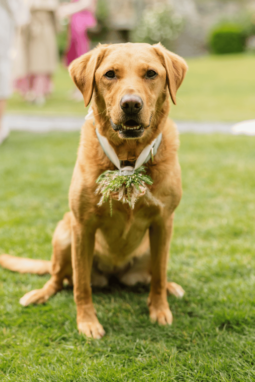 Aditi Sivasamy & Steve Myers's wedding-image-31