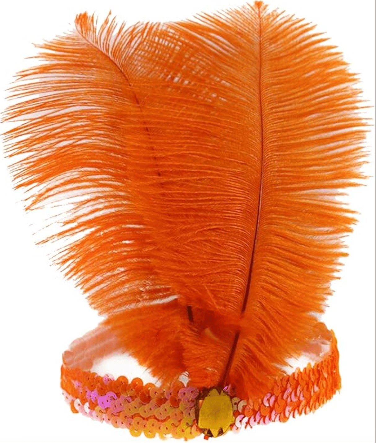 Feather Headpiece