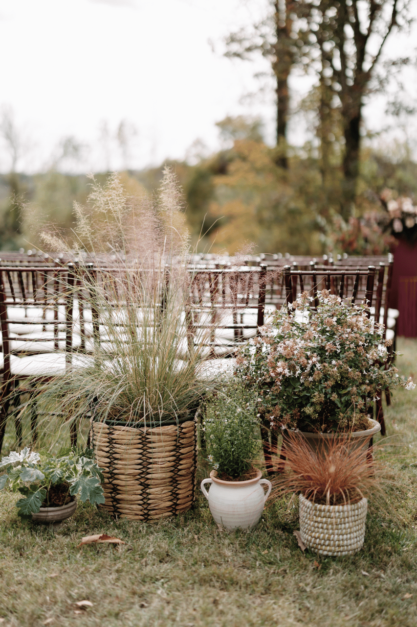 Taylor Rehfuss & Bobby Saghafi's wedding-image-88