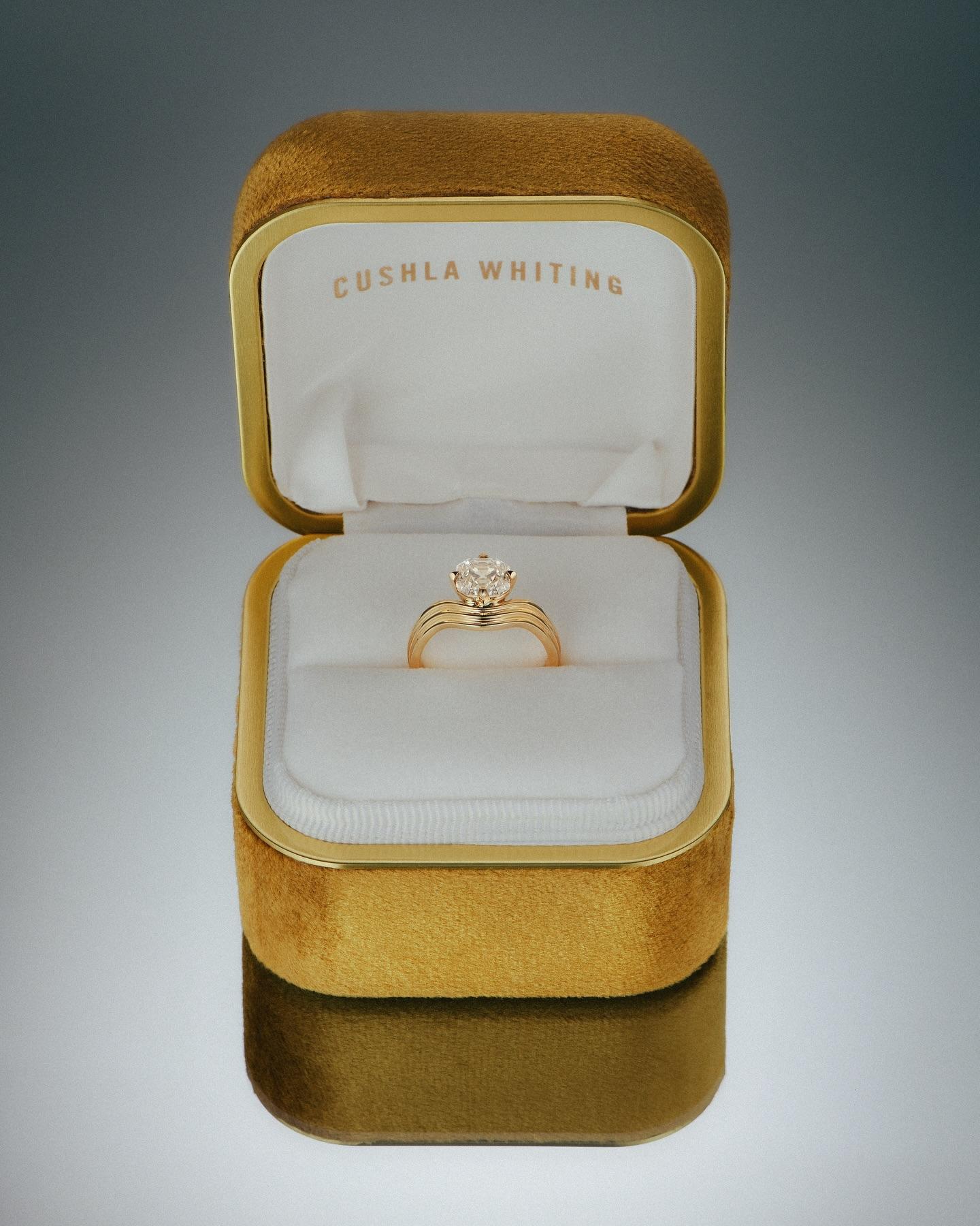Cushla Whiting portfolio 4