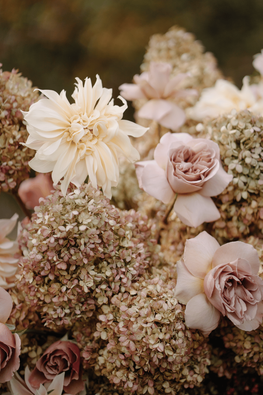 Taylor Rehfuss & Bobby Saghafi's wedding-image-58