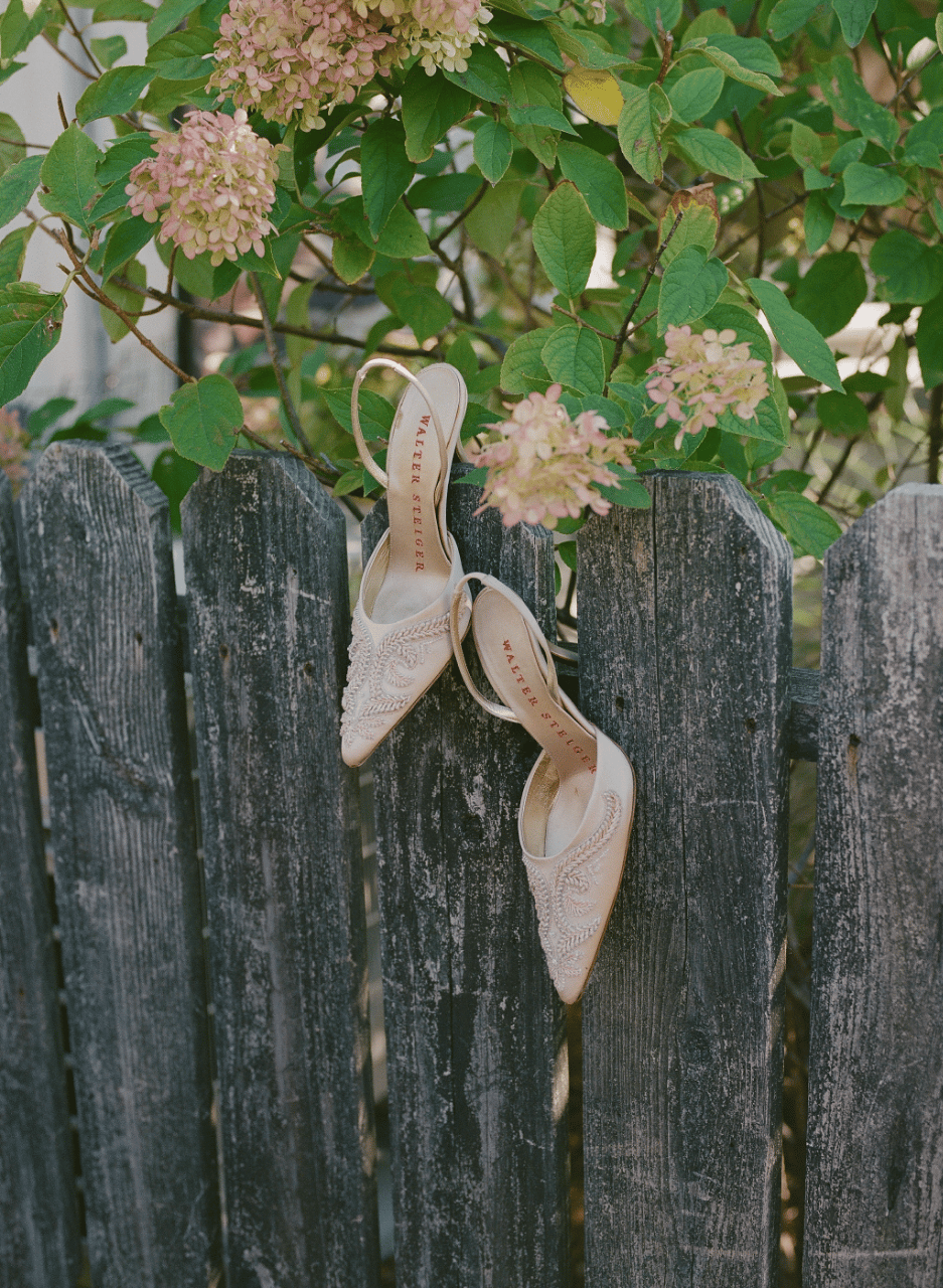 Brier & Ivy portfolio 5