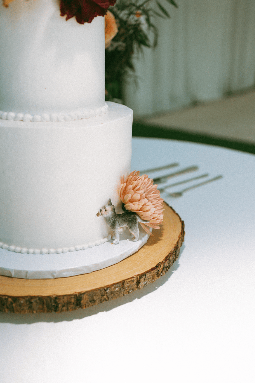 Madison Rios & Asher Stevens's wedding-image-2