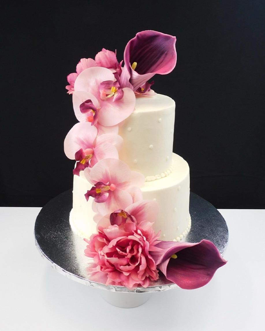 Cakes Plus