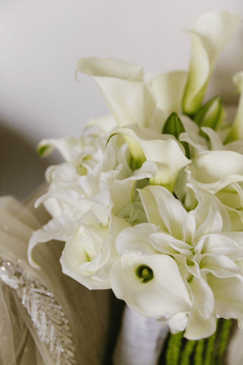 Hafeeza Sheikh & Sebastian Cordoba's wedding-image-35