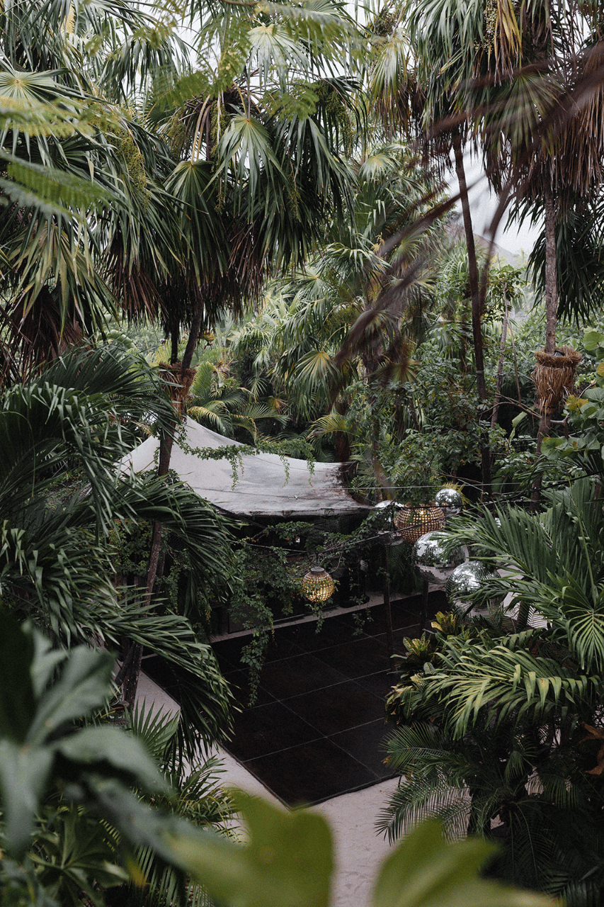 Dear Tulum Weddings portfolio 4