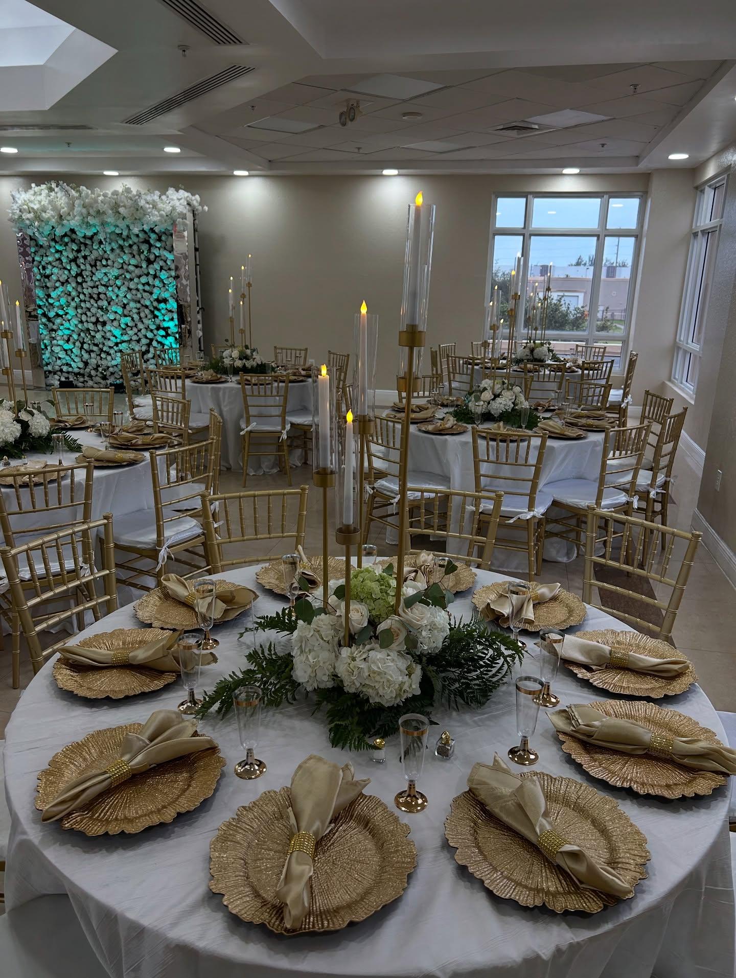 Premier Party Rental portfolio 3