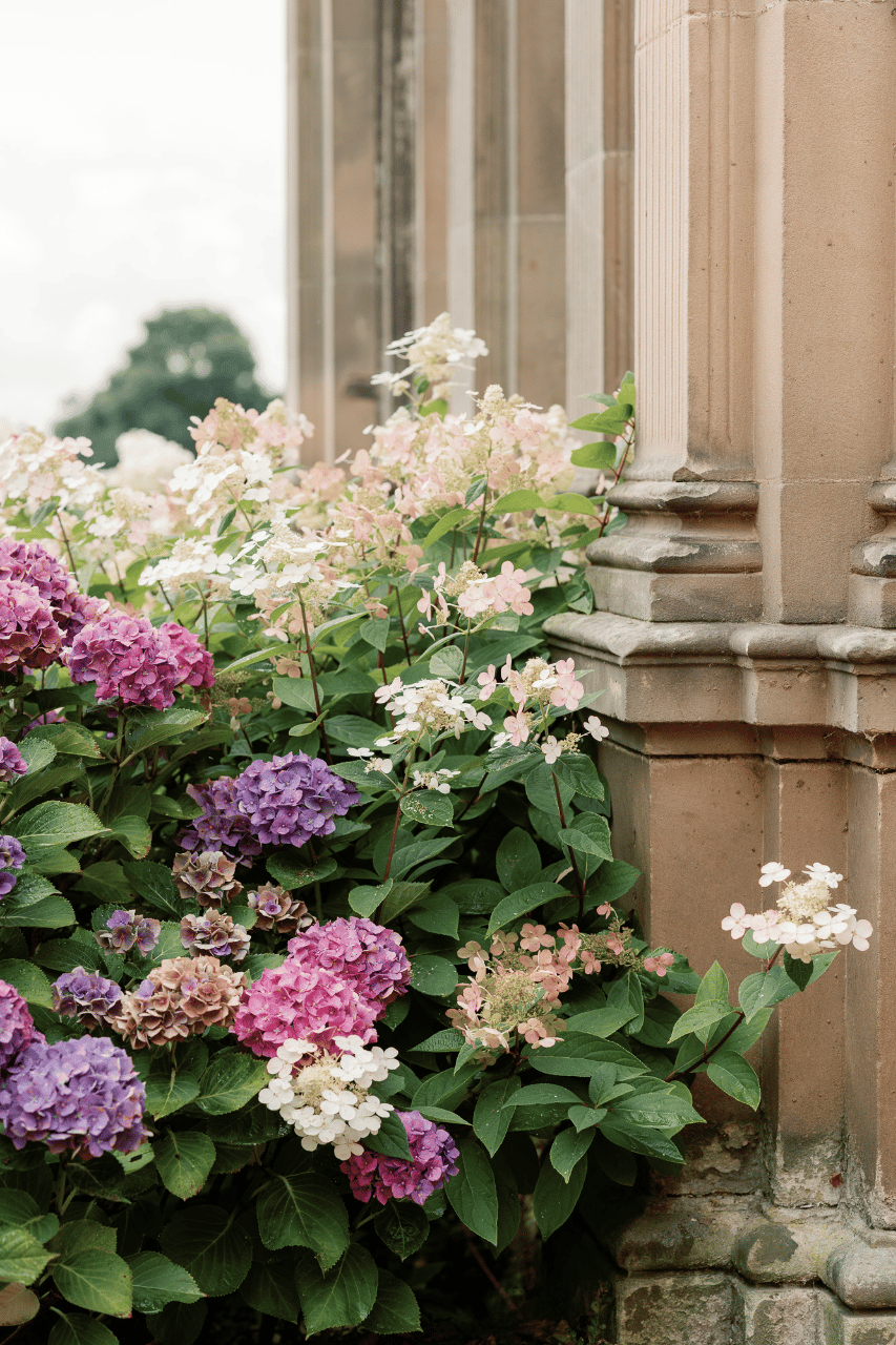 A Refined Romance in a Sun-Kissed Estate Setting photo 3
