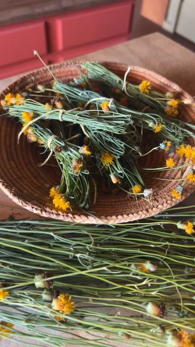 Cinnamon’s Botanicals portfolio 2
