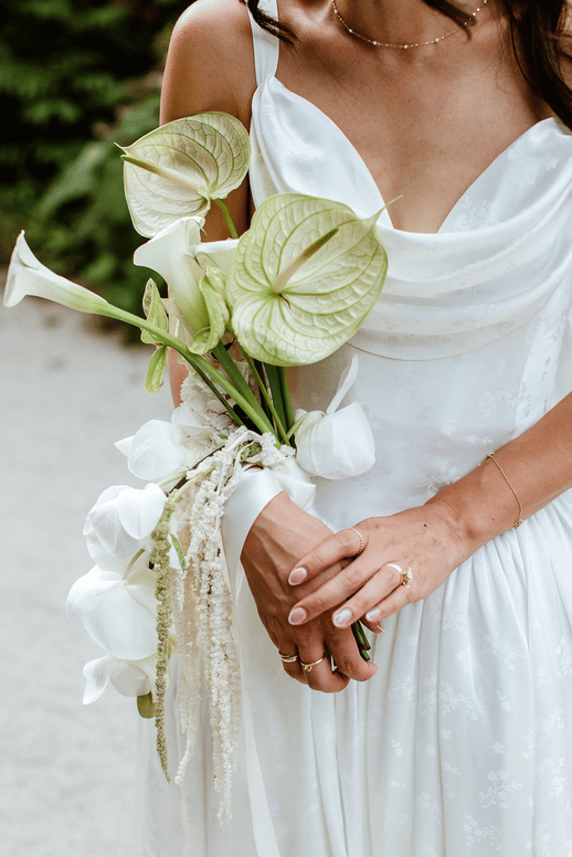 A Summer Romance in the Heart of Provence
